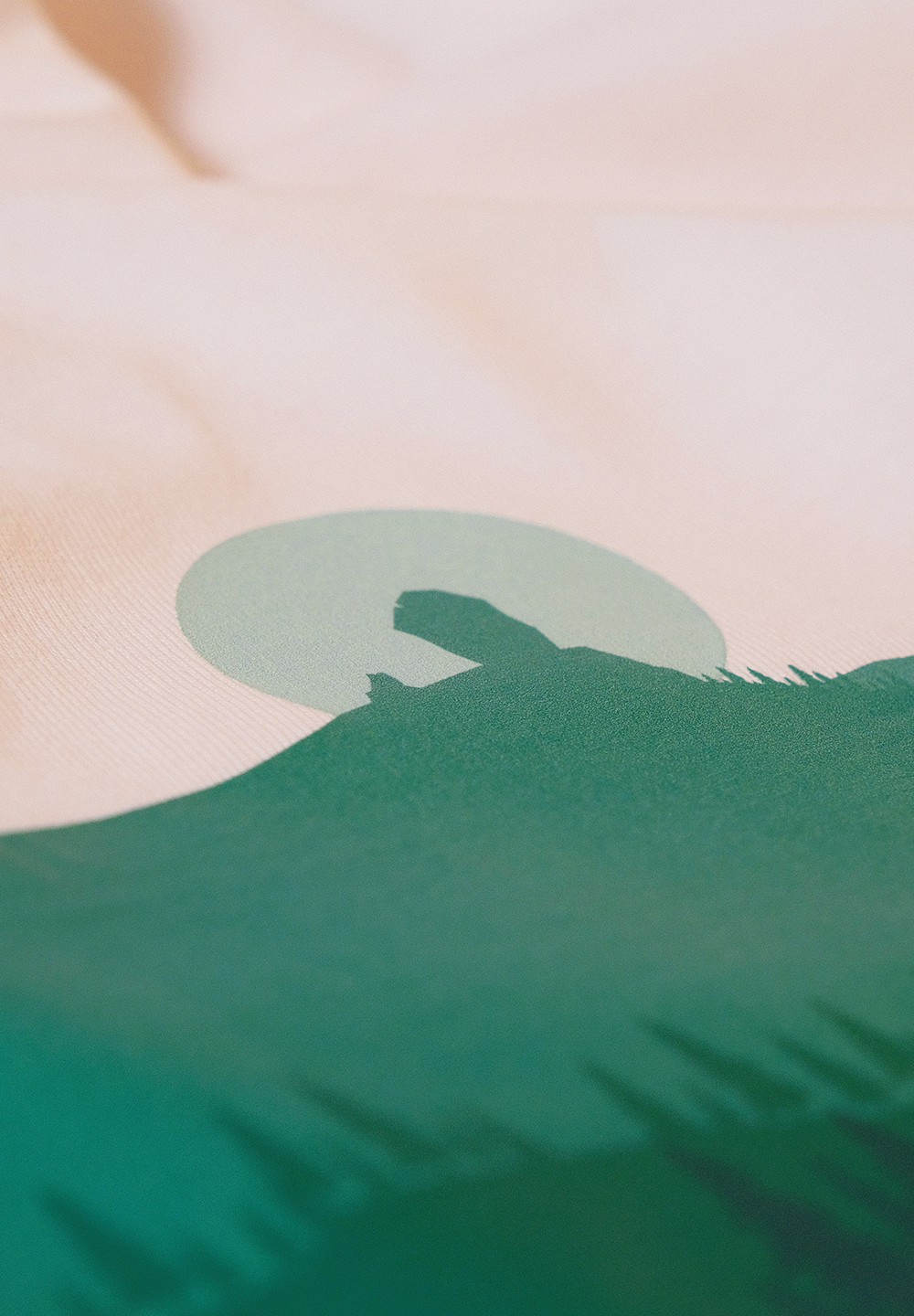 Camiseta eco: Roque Nublo, Gran Canaria